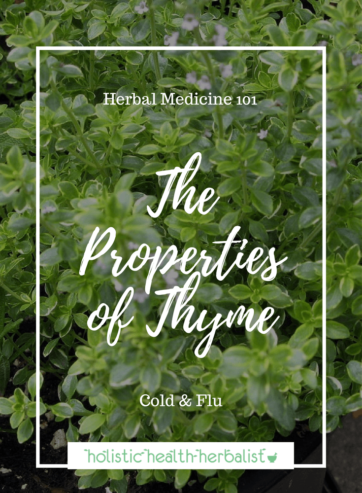 The Properties of Thyme - Learn about the amazing medicinal properties of this humble garden herb and how to use it for cold and flu.
