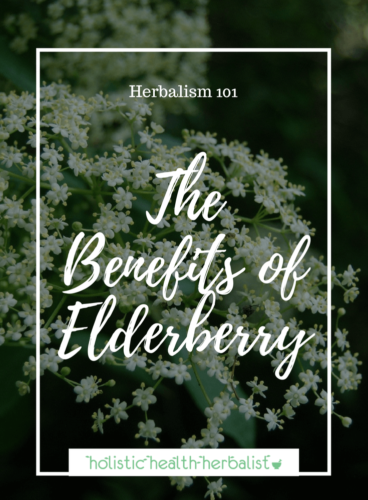 The Benefits of Elderberry - Learn about this amazing immune stimulating herb that is effective against eight types of flu virus.