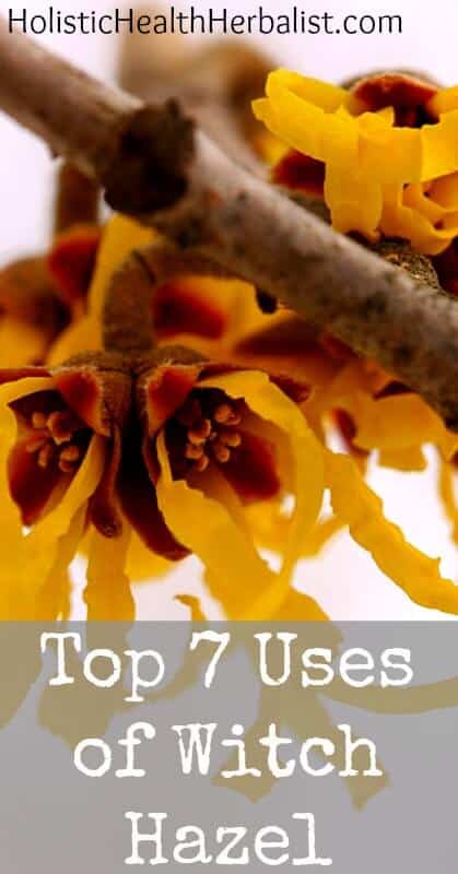 The Top 7 Uses of Witch Hazel - Learn about my favorite uses for witch hazel and why you should have it in your medicine cabinet!