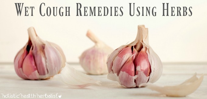 Wet Cough Remedies Using Herbs - Photo of three heads of garlic