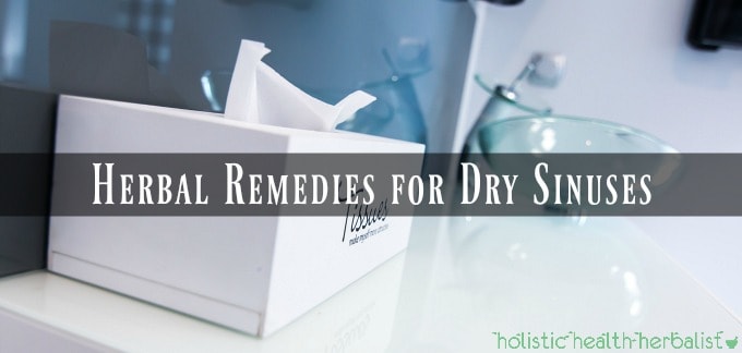 Herbal Remedies for Dry Sinuses