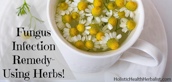 fungus infection remedy with herbs