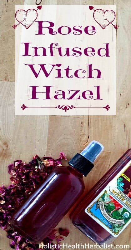 Rose Infused Witch Hazel - Learn how to make a simple yet effective rose petal infused witch hazel that helps balance the skin's PH and softens skin.