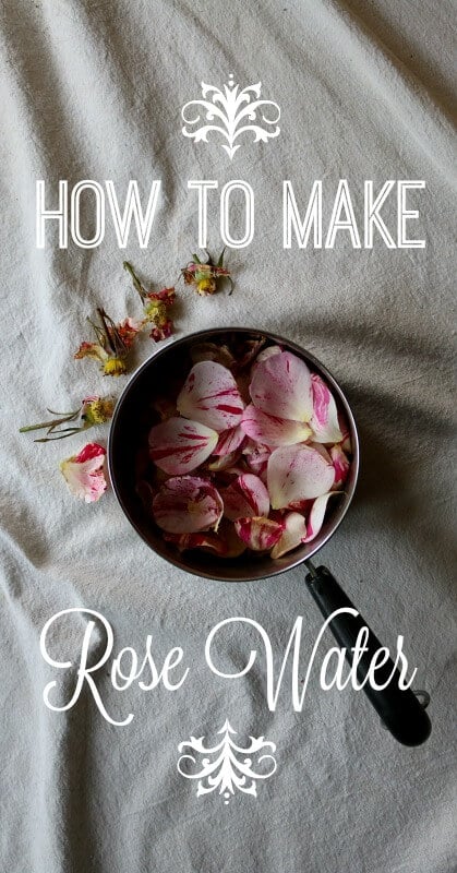 How to Make Rose Water - Learn how to make an amazing rose water with fresh roses from your back yard OR high quality dried roses. Rose water is great for both aging and acne prone skin types because of its ability to balance the skin's PH and moisturize.