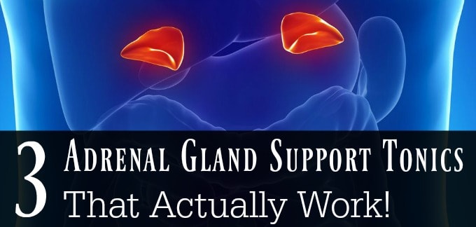 3 Adrenal Gland Support Tonics That Actually Work!