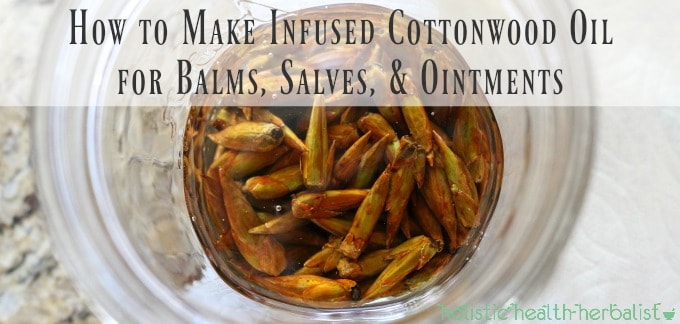 How to Make Infused Cottonwood Oil for Balms, Salves, & Ointments