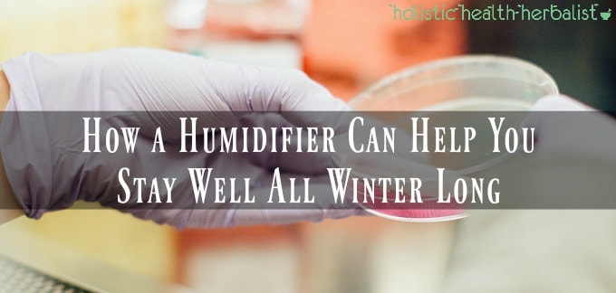 How a Humidifier Can Help You Stay Well All Winter Long