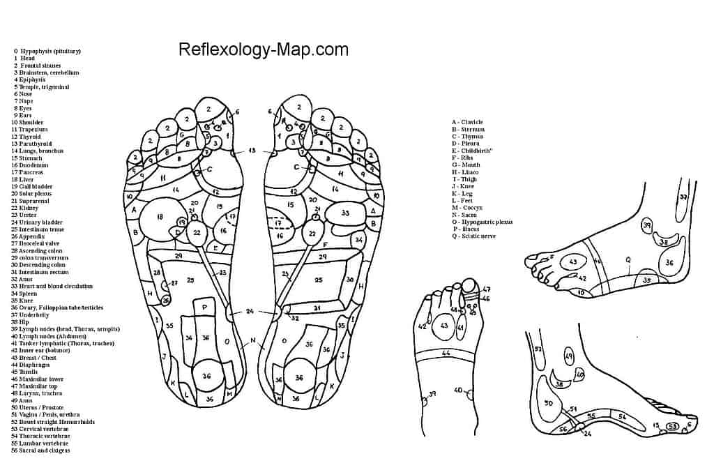 footreflexology chart