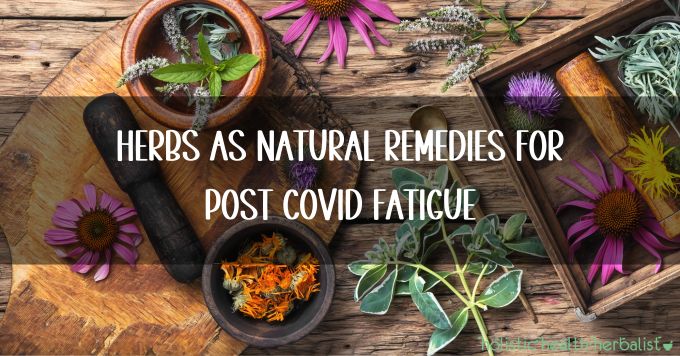 Herbs as Natural Remedies for Post COVID Fatigue